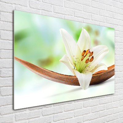 Acrylbild Fotodruck Lilie