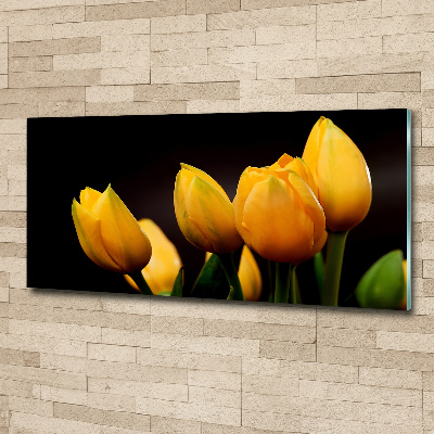 Foto auf Acryl Gelbe Tulpen