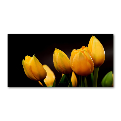 Foto auf Acryl Gelbe Tulpen