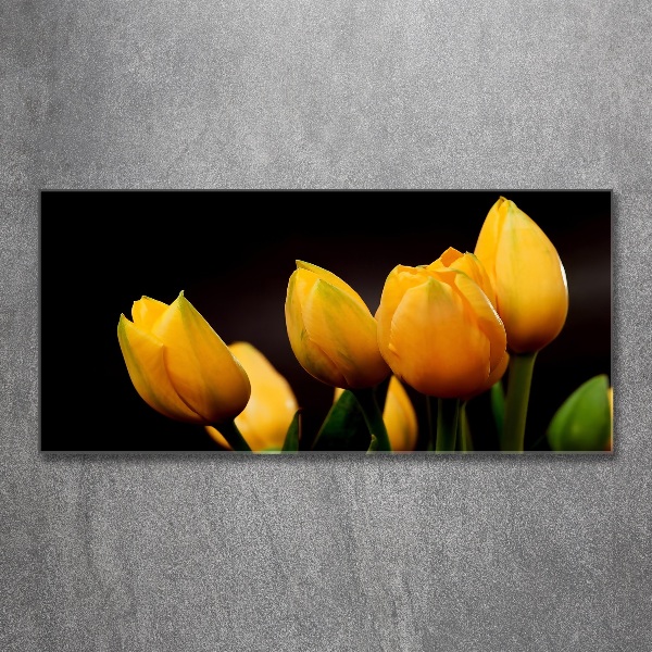Foto auf Acryl Gelbe Tulpen