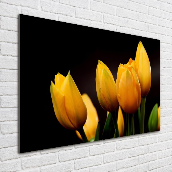 Foto auf Acryl Gelbe Tulpen