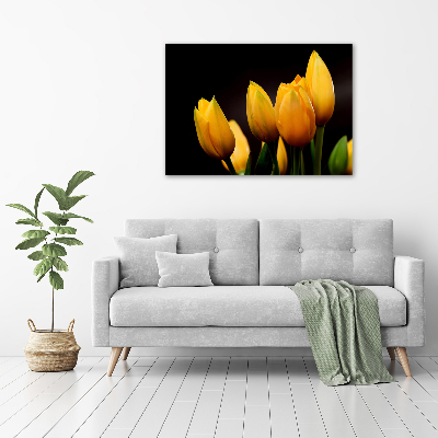 Foto auf Acryl Gelbe Tulpen