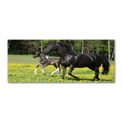 Foto auf Acryl Stute mit Fohlen