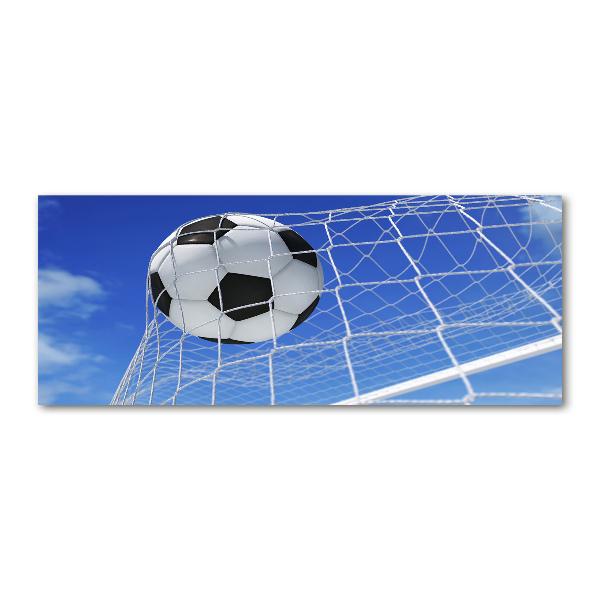 Acrylbild Fotodruck Der Ball ist im Tor