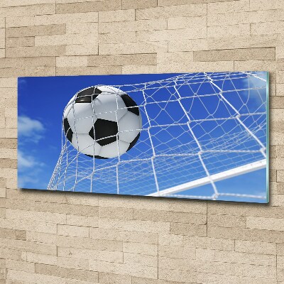 Acrylbild Fotodruck Der Ball ist im Tor