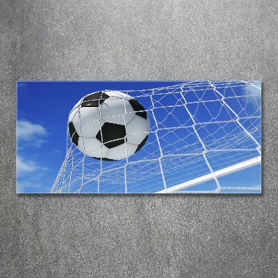 Acrylbild Fotodruck Der Ball ist im Tor