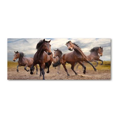 Bild auf Acrylglas Fünf Pferde