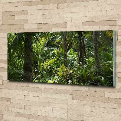 Acrylbild Fotodruck Tropischer Wald