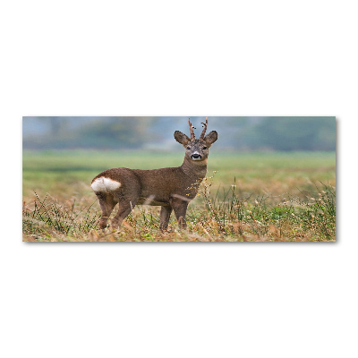 Acrylbild Fotodruck Rogen