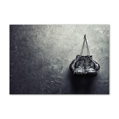 Foto auf Acryl Boxhandschuhe