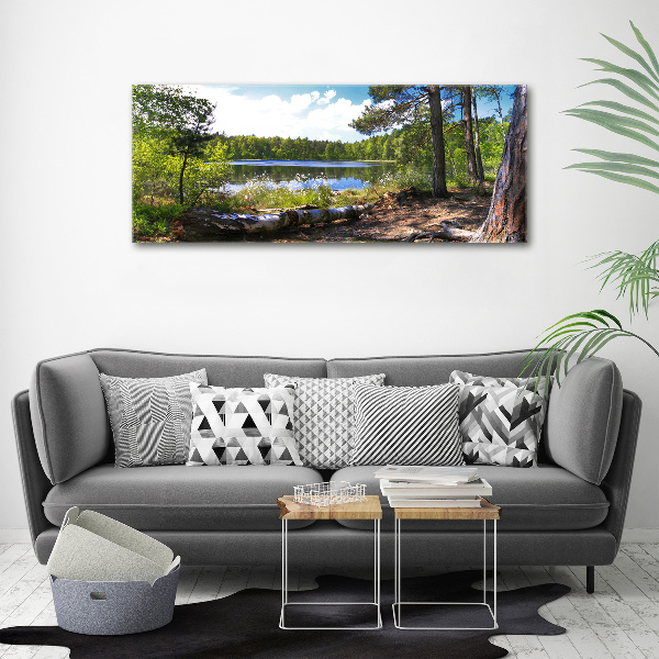 Acrylbild Fotodruck Waldpanorama
