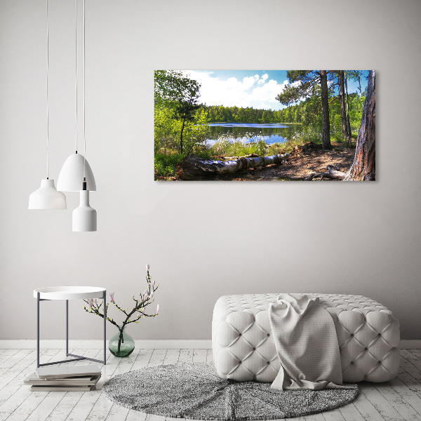 Acrylbild Fotodruck Waldpanorama