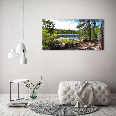 Acrylbild Fotodruck Waldpanorama