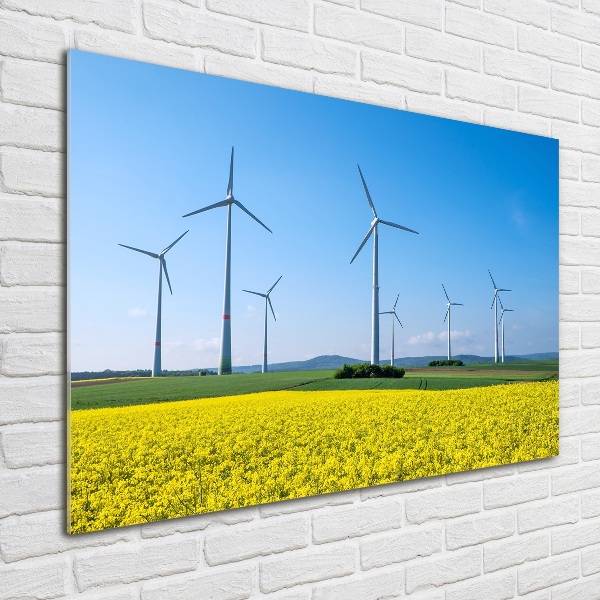 Foto auf Acryl Windmühlen auf dem Feld