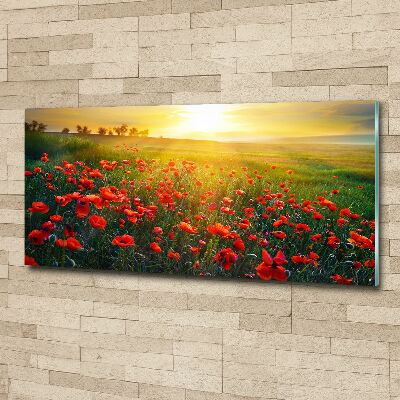 Bild auf Acrylglas Mohnfeld