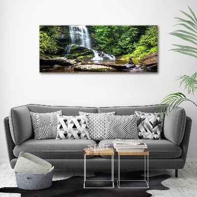 Acrylbild Fotodruck Wasserfall im Wald