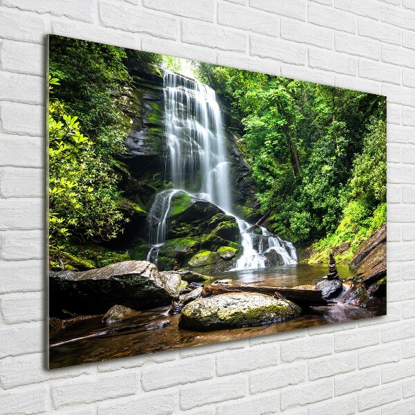Acrylbild Fotodruck Wasserfall im Wald