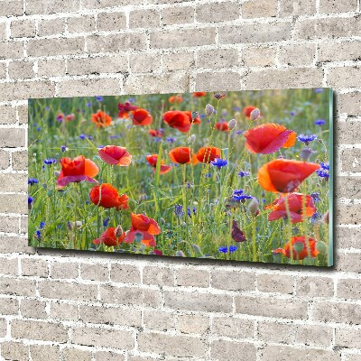 Foto auf Acryl Wildblumen