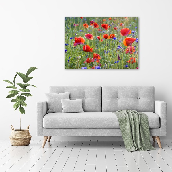 Foto auf Acryl Wildblumen