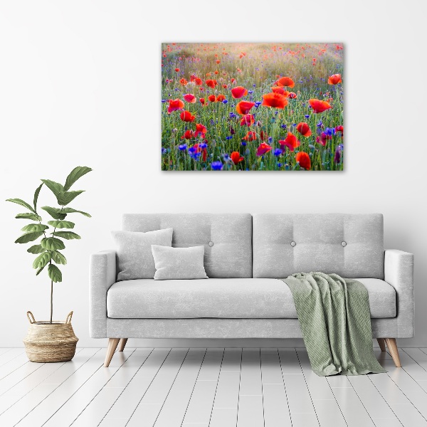 Bild auf Acrylglas Wildblumen