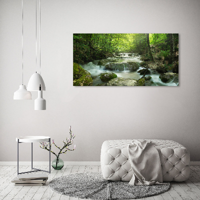 Foto auf Acryl Wasserfall im Wald