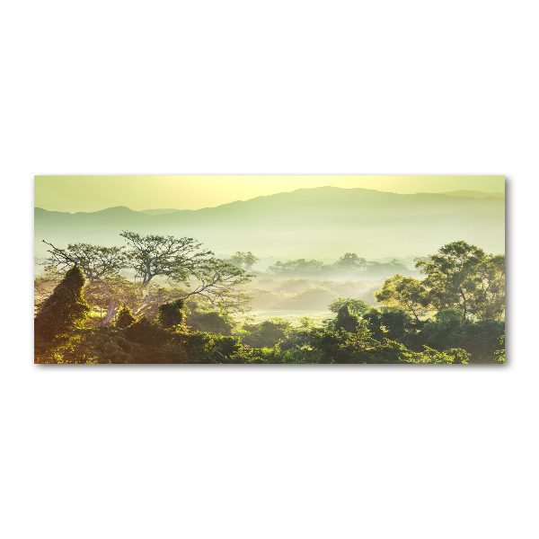 Acrylglas-Druck Dschungel