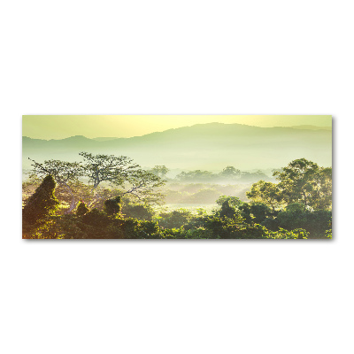 Acrylglas-Druck Dschungel
