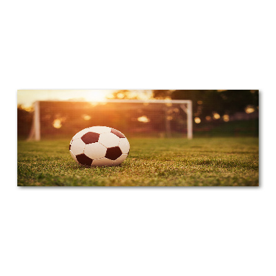 Bild auf Acrylglas Der Ball auf dem Spielfeld