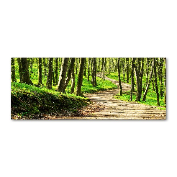 Foto auf Acryl Pfad im Wald