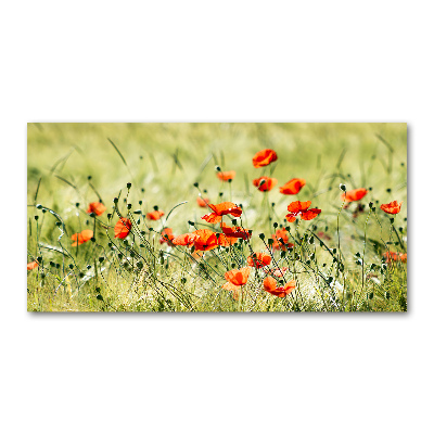 Acrylbild Fotodruck Mohnblumen