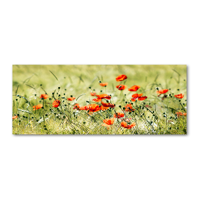 Acrylbild Fotodruck Mohnblumen