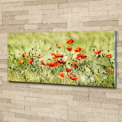 Acrylbild Fotodruck Mohnblumen