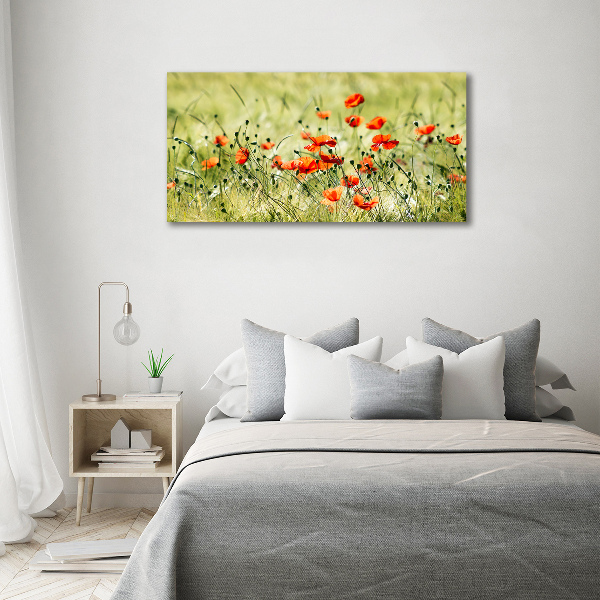 Acrylbild Fotodruck Mohnblumen