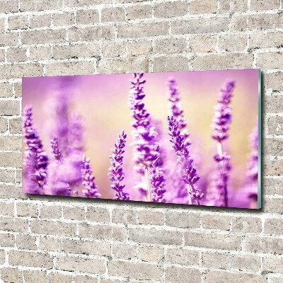 Acrylglas-Druck Lavendel