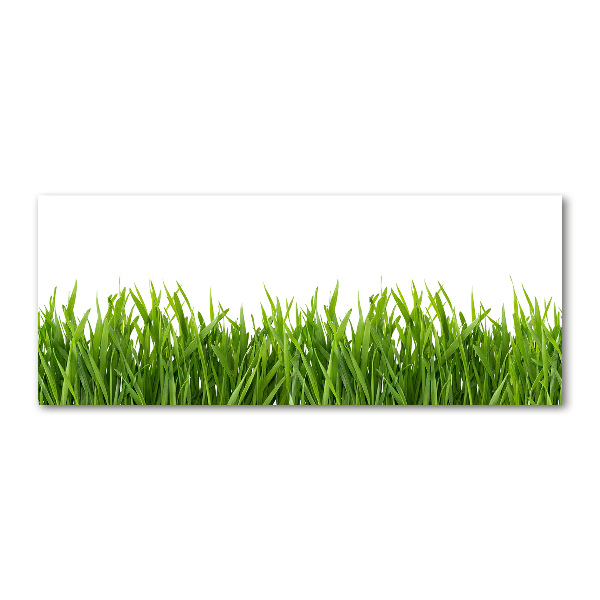 Foto auf Acryl Gras
