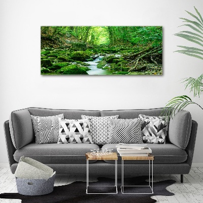 Acrylbild Fotodruck Ein Bach im Wald