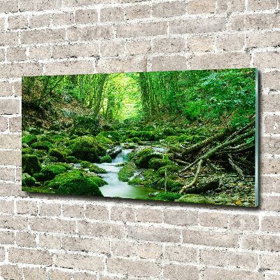 Acrylbild Fotodruck Ein Bach im Wald