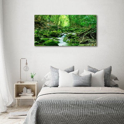 Acrylbild Fotodruck Ein Bach im Wald