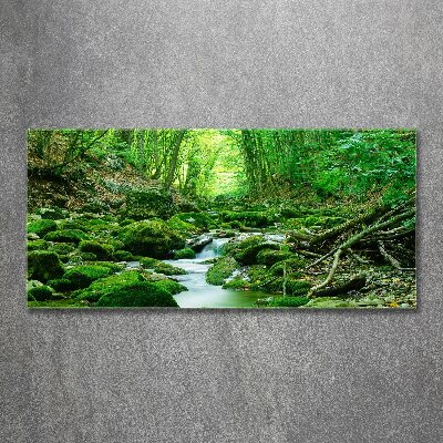 Acrylbild Fotodruck Ein Bach im Wald