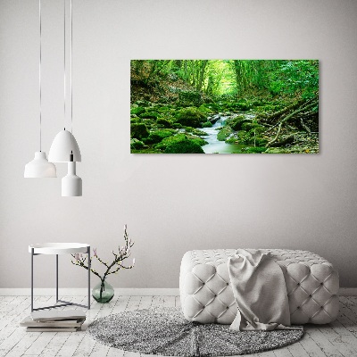 Acrylbild Fotodruck Ein Bach im Wald