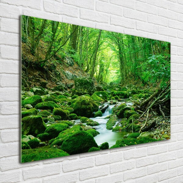 Acrylbild Fotodruck Ein Bach im Wald