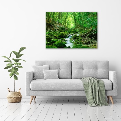 Acrylbild Fotodruck Ein Bach im Wald