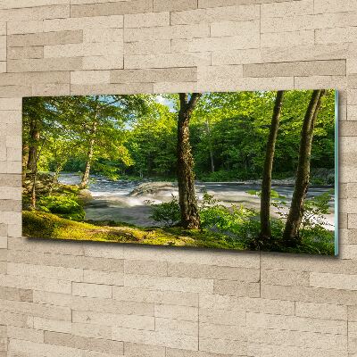 Foto auf Acryl Fluss im Wald