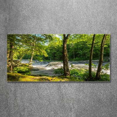 Foto auf Acryl Fluss im Wald