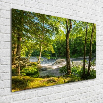 Foto auf Acryl Fluss im Wald