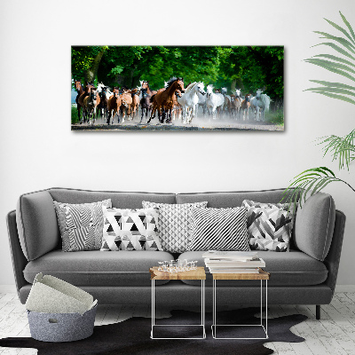 Foto auf Acryl Pferde im Galopp
