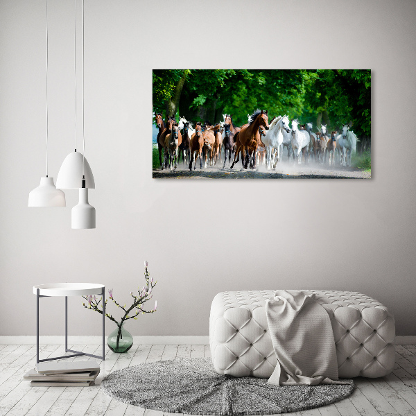 Foto auf Acryl Pferde im Galopp