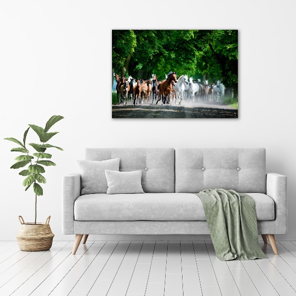 Foto auf Acryl Pferde im Galopp