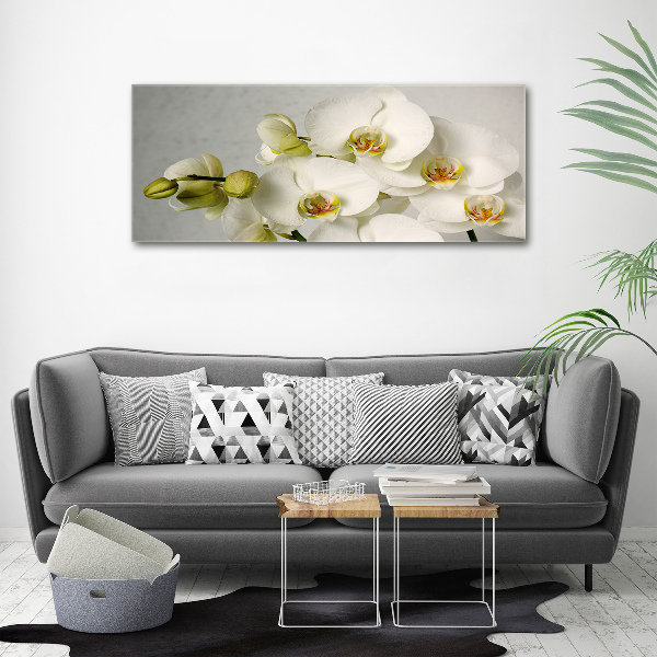 Acrylbild Fotodruck Weiße Orchidee