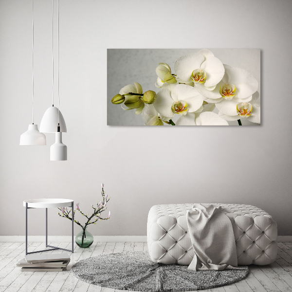 Acrylbild Fotodruck Weiße Orchidee